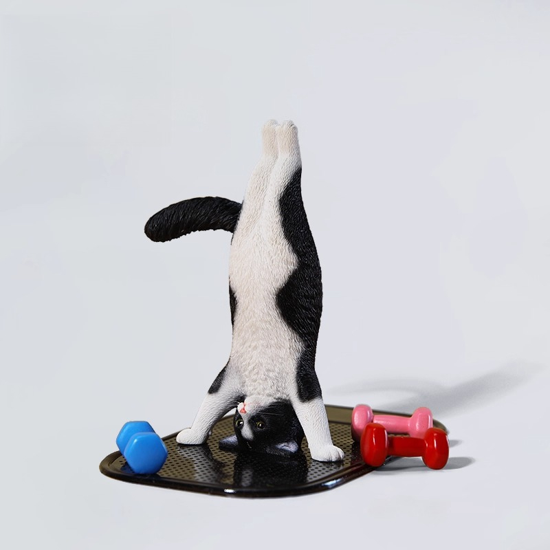 1/6 Scale Mini Simulated Fitne - Yoga Fitness First ulasan dan harga