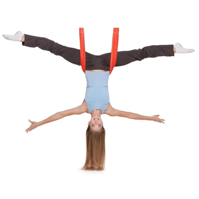 Aerial Yoga Suspension Straps  - Yoga Swing Aerial ulasan dan harga